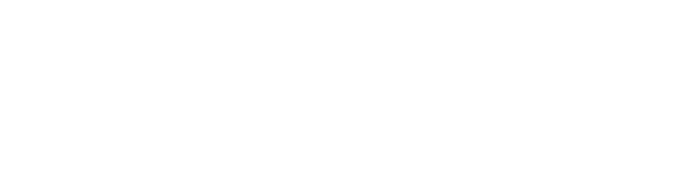 Intelligenti Stefanini
